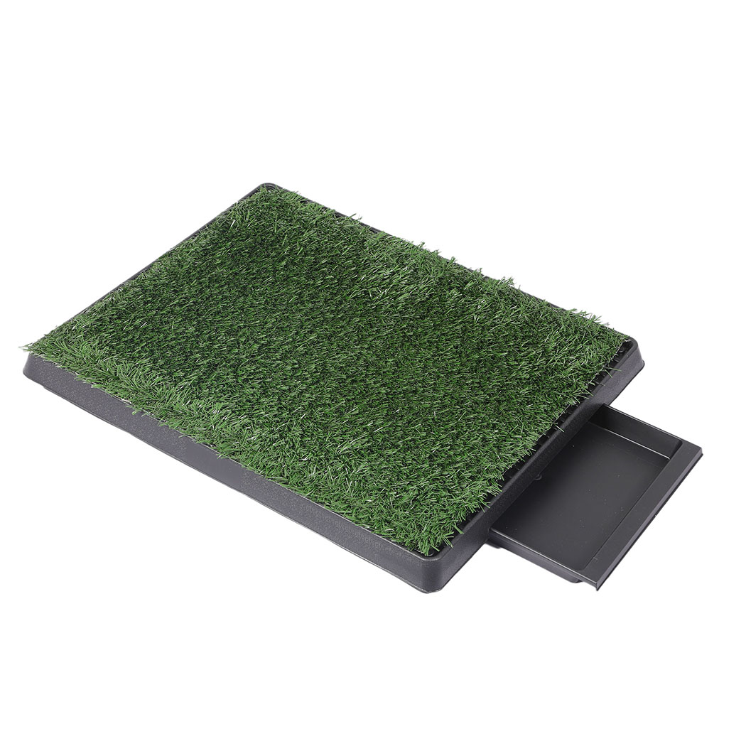 PaWz Indoor Dog Pet Grass Potty Training